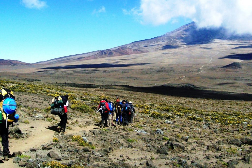 9D8N Kilimanjaro Climb Rongai 7Day Route