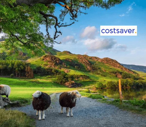 BRITAIN AND IRELAND DELIGHT