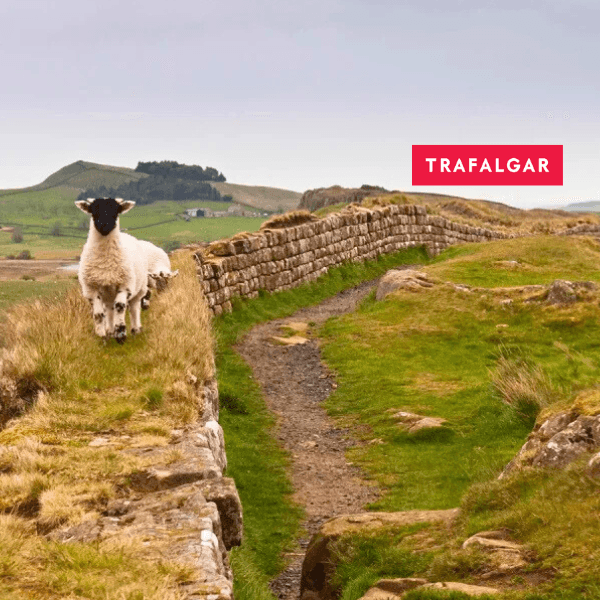 88-real-britain-guided-tour-2