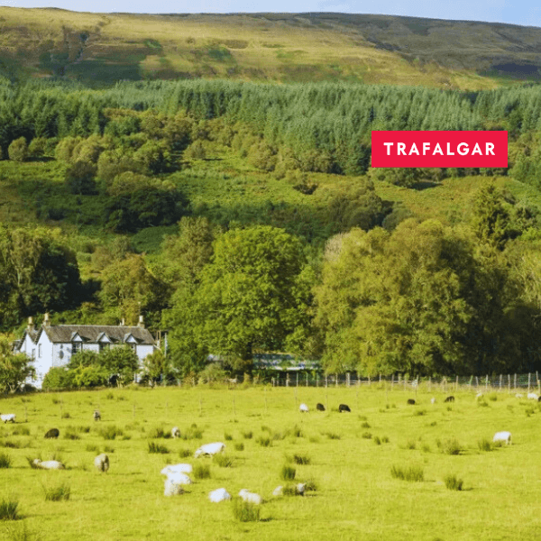 76-best-ireland-scotland-guided-tour-1