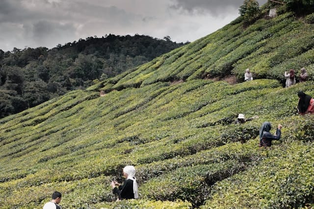 omar-elsharawy-zP4X5bO_InY-unsplash