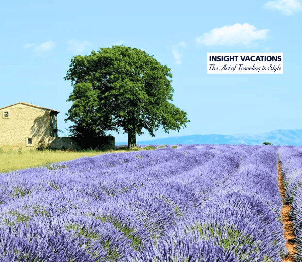 COUNTRY ROADS OF FRANCE (CLASSIC GROUP)