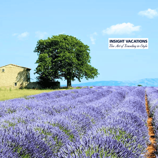 29-country-roads-france-guided-tour-14