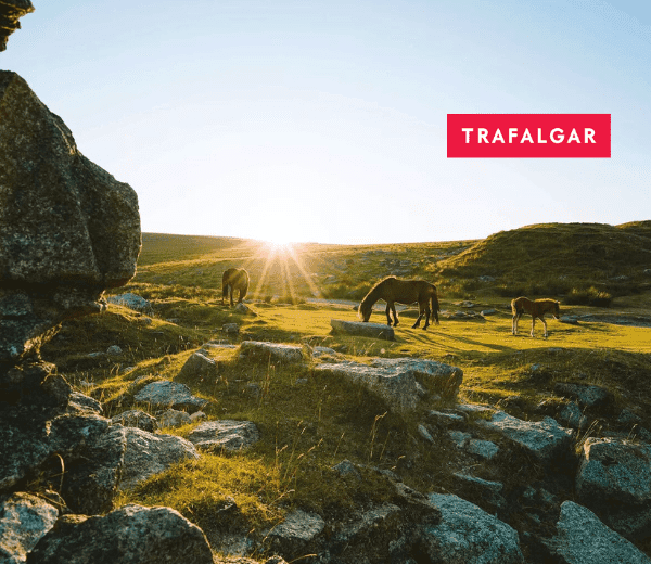 BEST OF DEVON AND CORNWALL