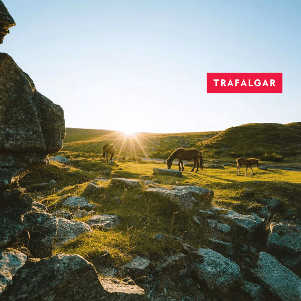 51-Trafalgar-best-devon-cornwall-guided