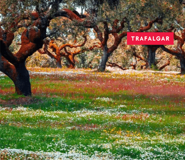 TREASURES OF SPAIN AND PORTUGAL - END BARCELONA