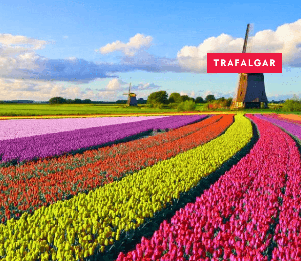 BEST OF HOLLAND