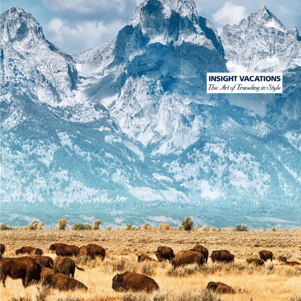 7-american-parks-trail-guided-tour-27