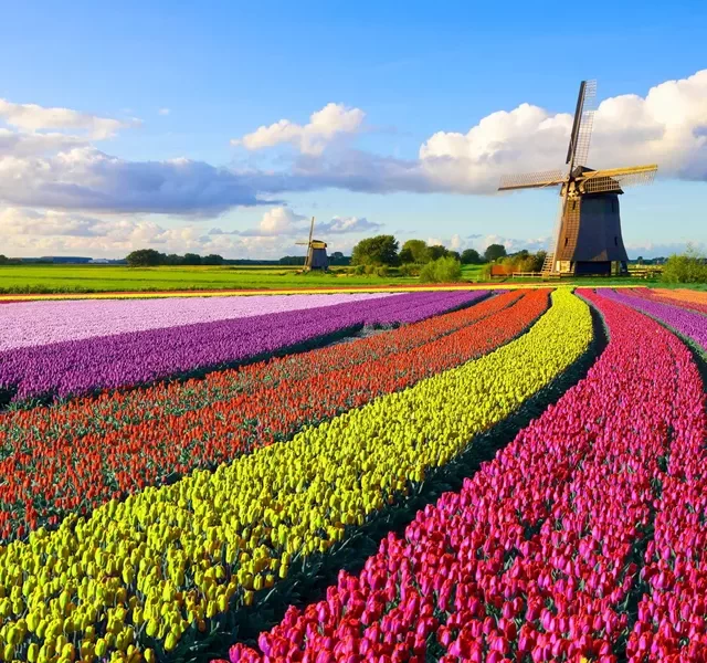 best-holland-guided-tour-1