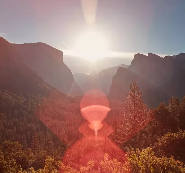 californias-great-national-parks-guided-tour-1