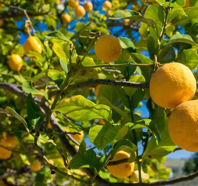 colours-sicily-guided-tour-1