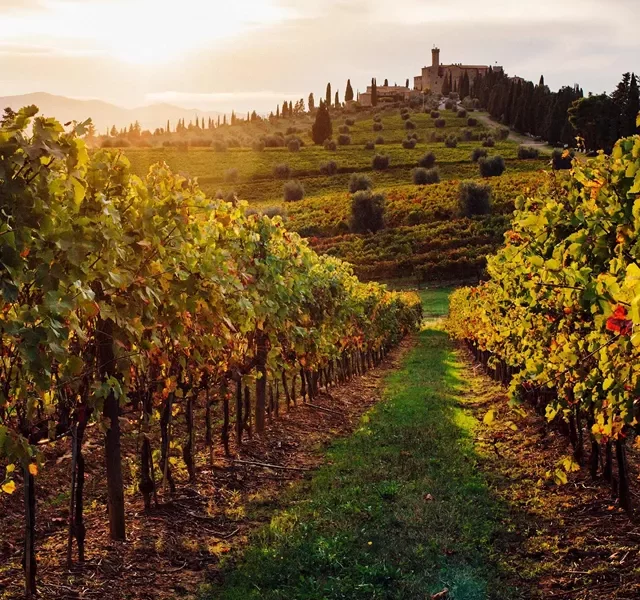 rome-tuscan-highlights-guided-tour-1