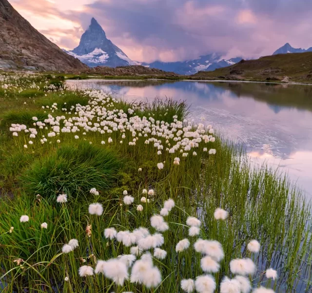 switzerland-austria-guided-tour-1