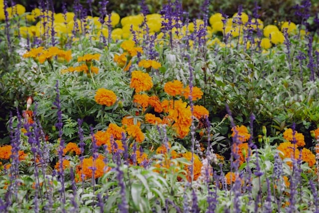 aestelle-90kRATwauPQ-unsplash