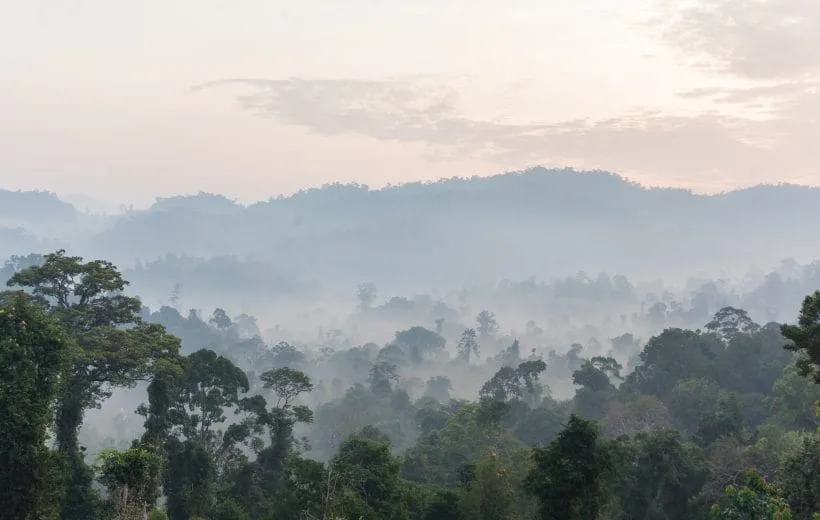 4D3N EXPLORER PACKAGE - TAMAN NEGARA