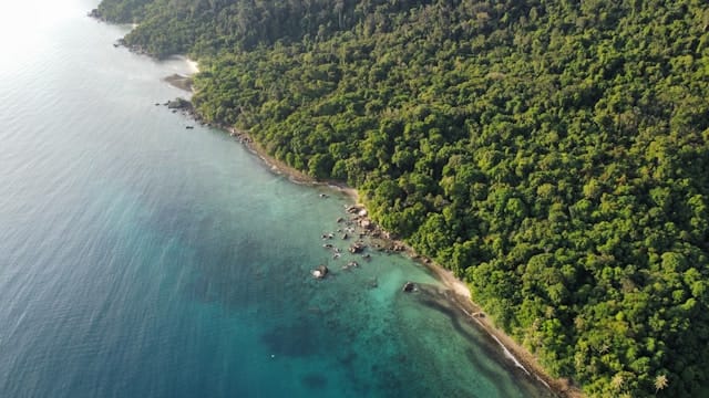 2D1N PULAU TIOMAN (FULL BOARD) - PAYA BEACH RESORT