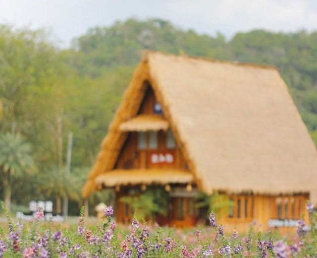 4D3N BANGKOK – KHAOYAI (MIN 2 TO GO) (PRIVATE TOUR)