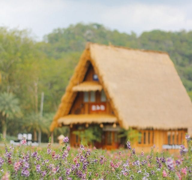 alethea-masyithah-Jq4XE0gf0rI-unsplash