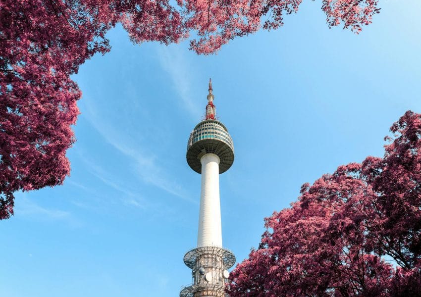Low-Angle Photo of N Seoul Tower