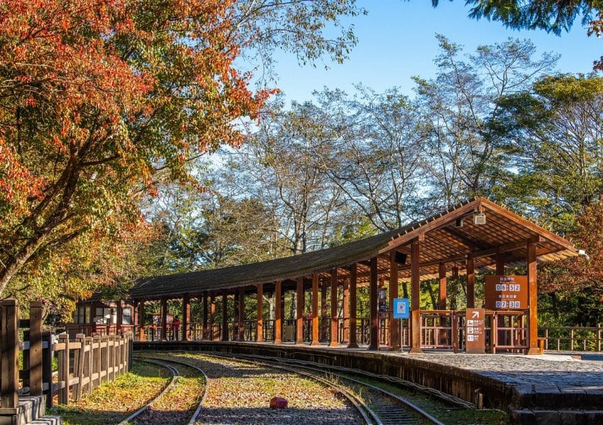 train platform, taiwan, autumn