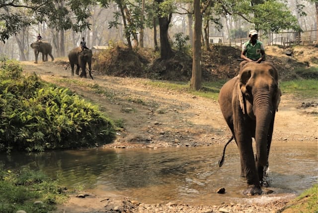 8D7N NEPAL GOLDEN TRIANGLE TOUR (PRIVATE TOUR) (MIN 2 TO GO)