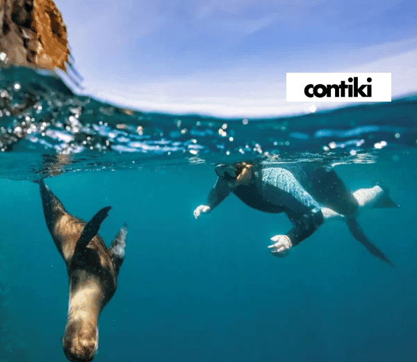 GALAPAGOS ISLAND HOPPER