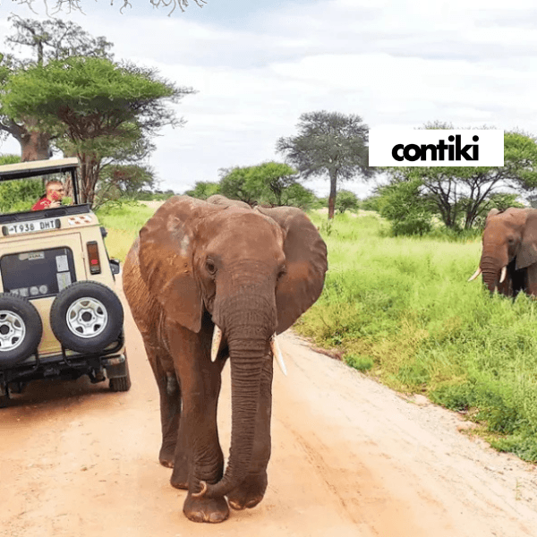 38-taste-of-tanzania-trip-4