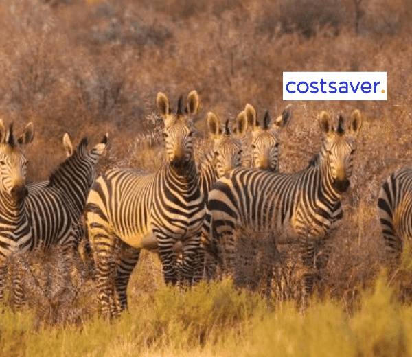 ICONS OF SOUTHERN AFRICA