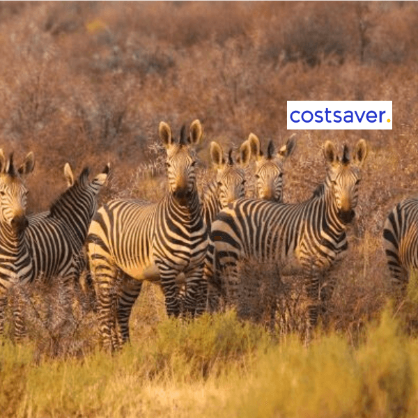 4-Photo by Daniele_K