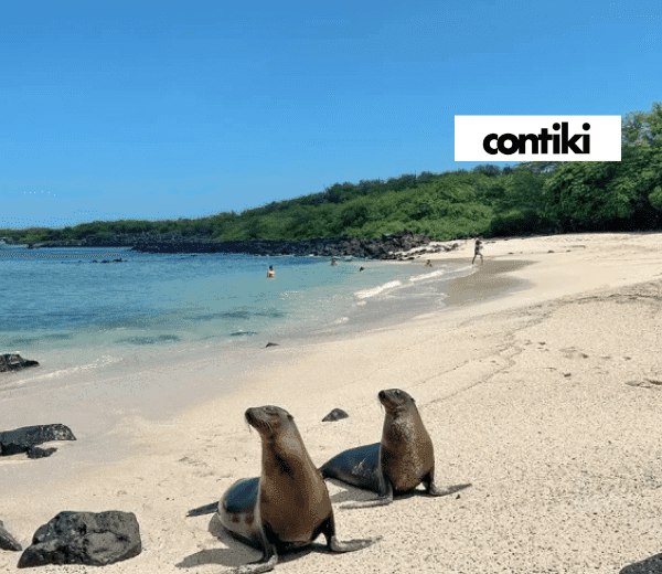 ECUADOR AND GALAPAGOS ISLAND HOPPER