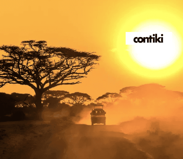 KENYA AND TANZANIA SAFARI