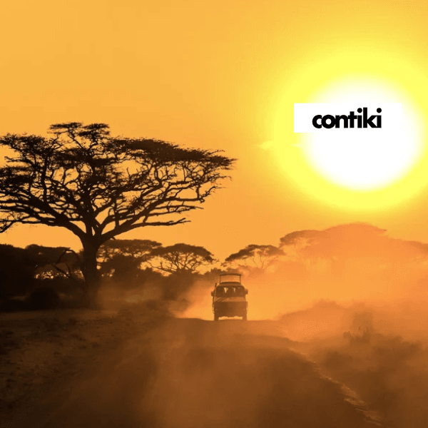 45-safari-jeep-803322676-1-10