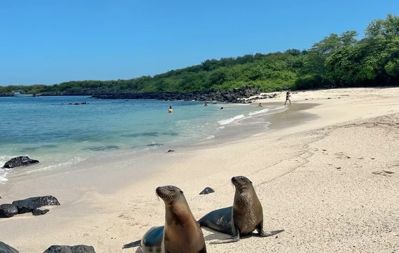 ECUADOR AND GALAPAGOS ISLAND HOPPER