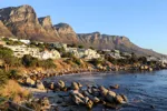 cape-point-tour-cape-peninsula-camps-bay-twelve-apostles-cape-town-south-africa