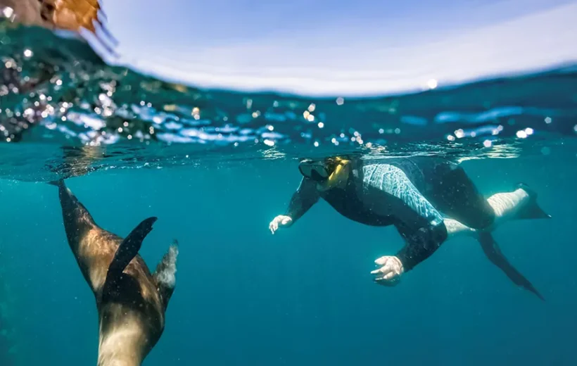 GALAPAGOS ISLAND HOPPER