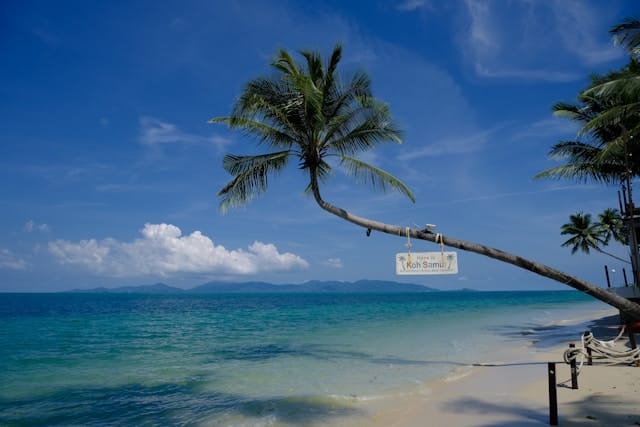 marius-kriz-bC6L_jXxD8o-unsplash