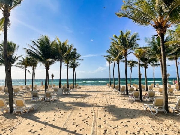 rajiv-perera-D-pP-GRIh8M-unsplash