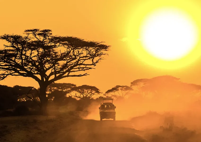 safari-jeep-803322676-1-10