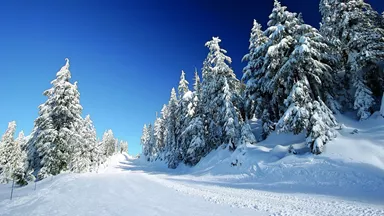 winter-snow-honninsvag-norway-0791rm2018-15