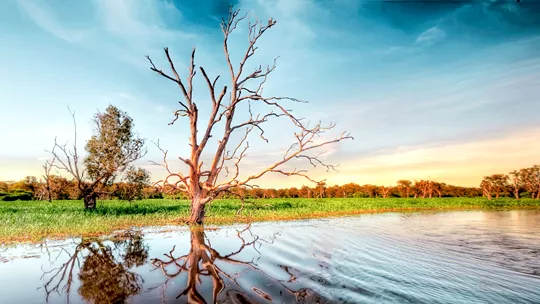 AUSTRALIA: KAKADU DREAMING
