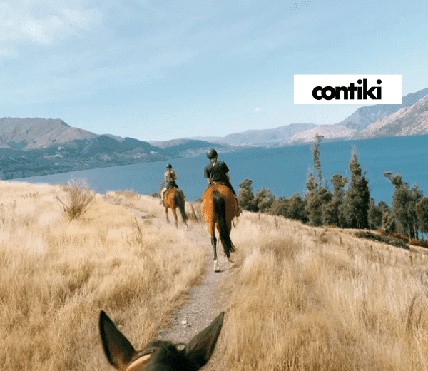 NEW ZEALAND PANORAMA - SOUTHBOUND