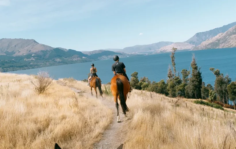 NEW ZEALAND PANORAMA - SOUTHBOUND