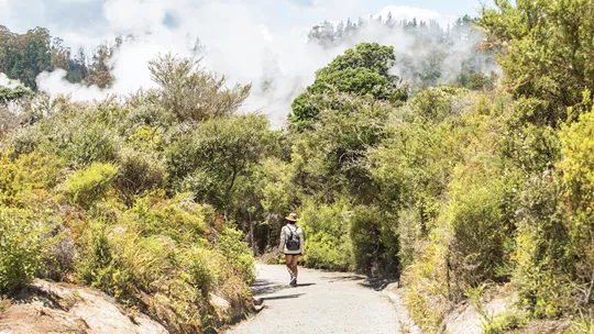 travellers-steam-forest-rotorua-new-zealand-7