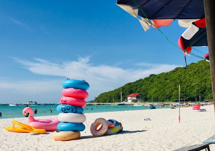 people on beach during daytime