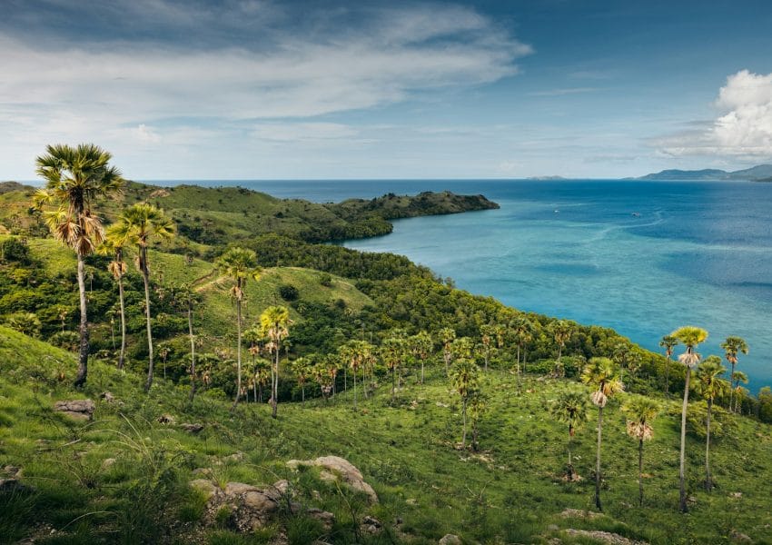 A lush green hillside next to a body of water