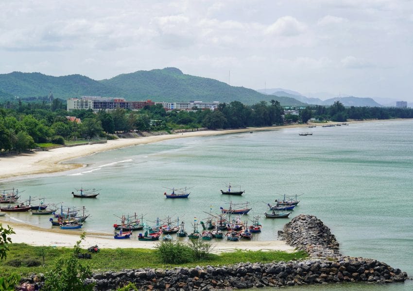 boats on sea near green trees during daytime