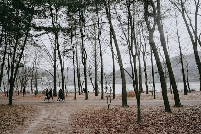 ammar-zainal-L-xYiW3FtkY-unsplash