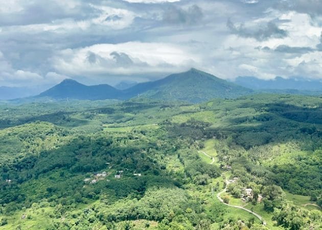 datingjungle-KFos86HVrPM-unsplash