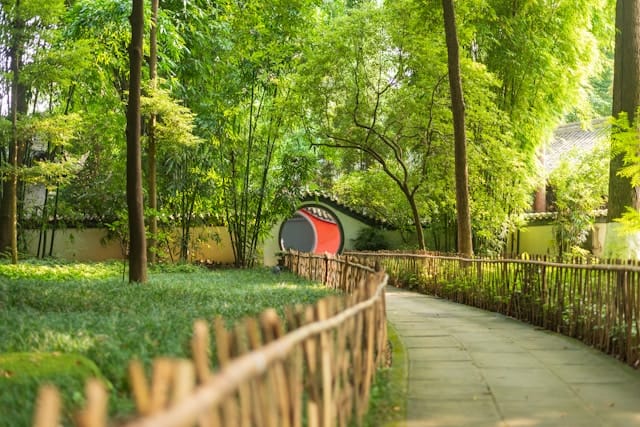 fay-lee-7IZFKI_pqwQ-unsplash