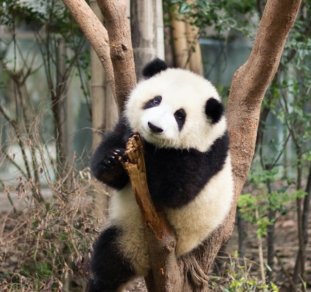 kerry-hu-qgpLJ1T8KeA-unsplash